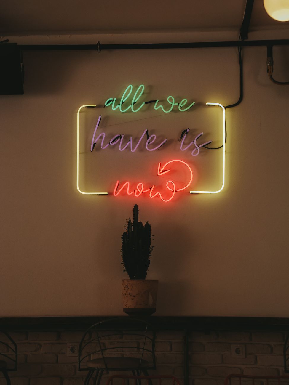 illuminated neon over cactus